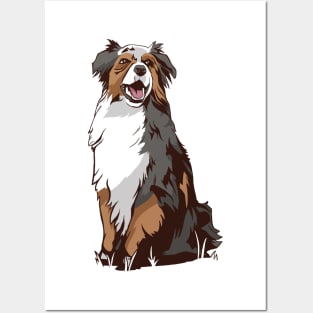 Australian Shepherd Dogs Posters and Art